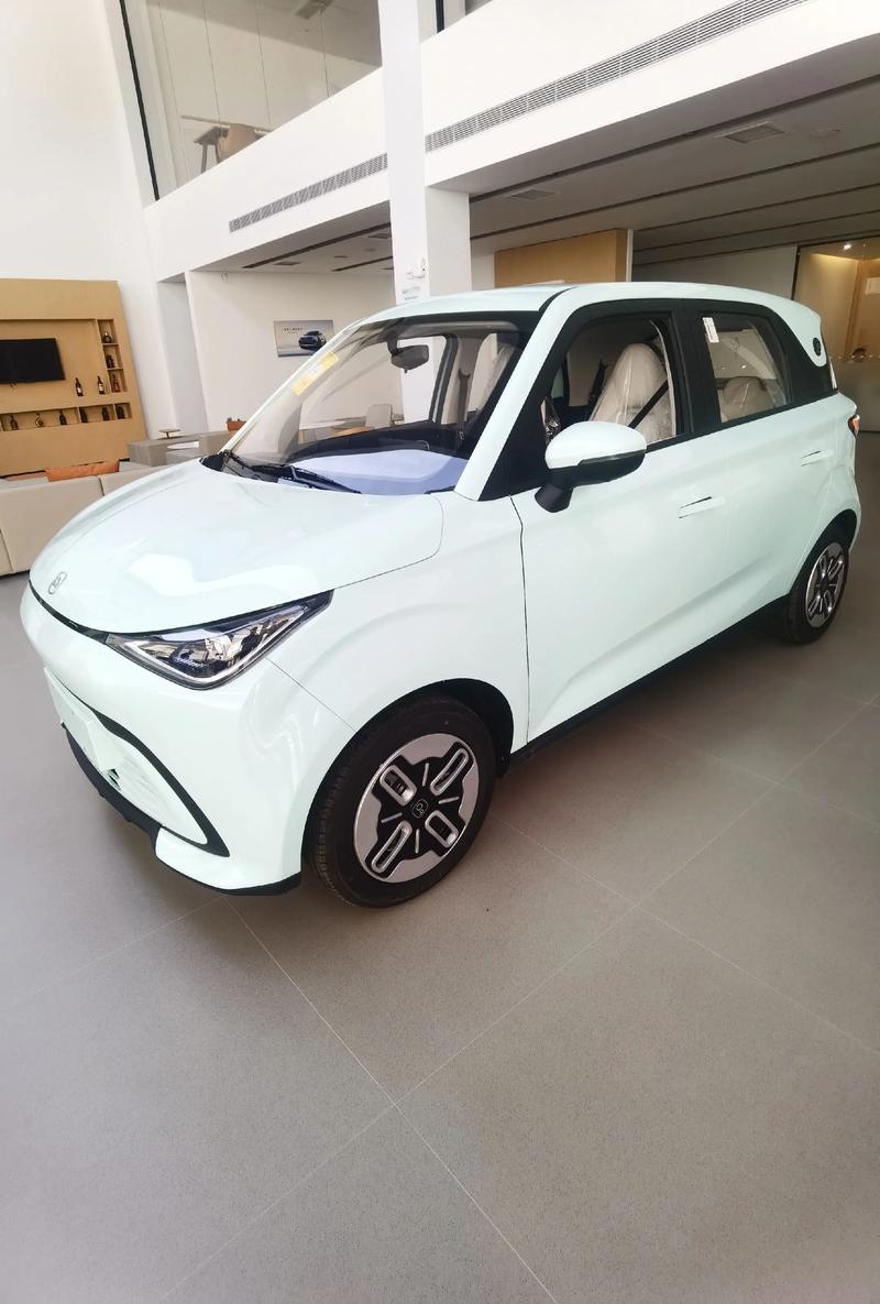 新能源汽车5万块左右有什么车/5万内的新能源车