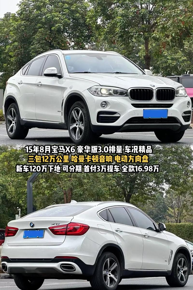 【x6宝马落地多少钱,宝马x620落地价】