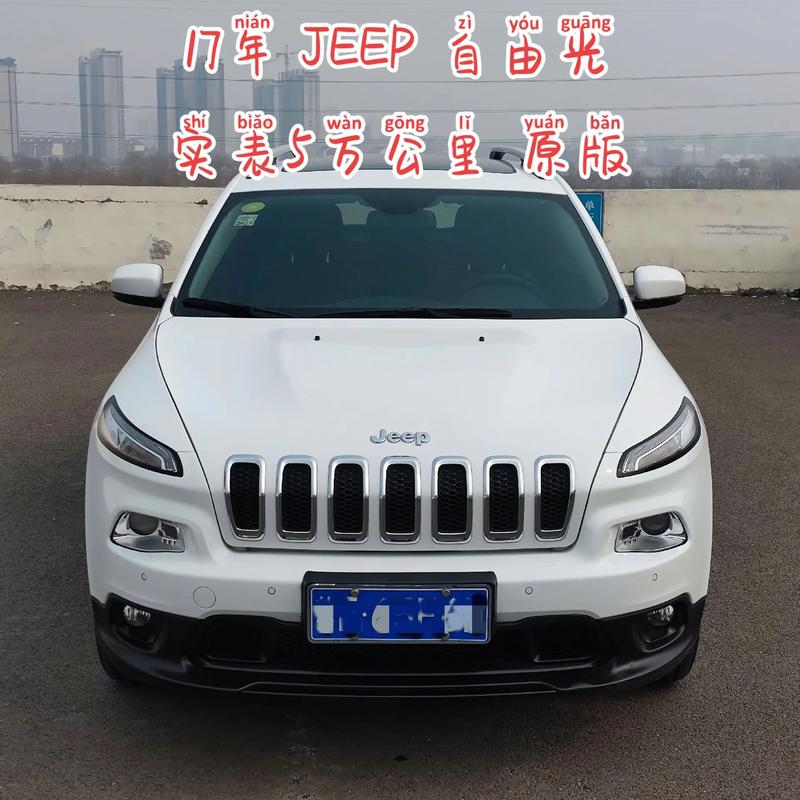 自由光的严重缺点,自由光丑