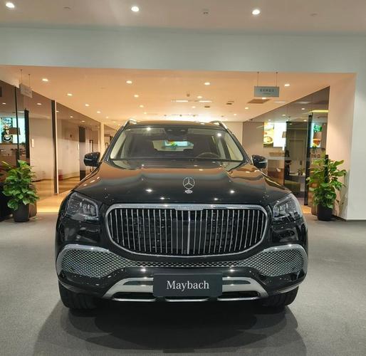 【奔驰suv迈巴赫,奔驰suv迈巴赫标志是什么车】